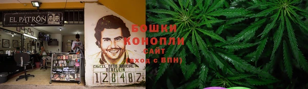 ешки Арсеньев