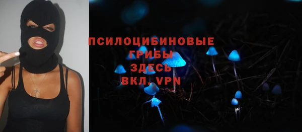 ешки Арсеньев