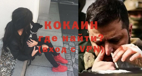 ешки Арсеньев