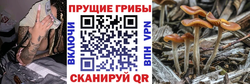 ОМГ ОМГ онион продажа наркотиков Верхнеуральск Псилоцибиновые грибы мицелий
