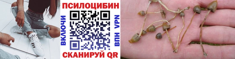 Галлюциногенные грибы Psilocybe Верхнеуральск